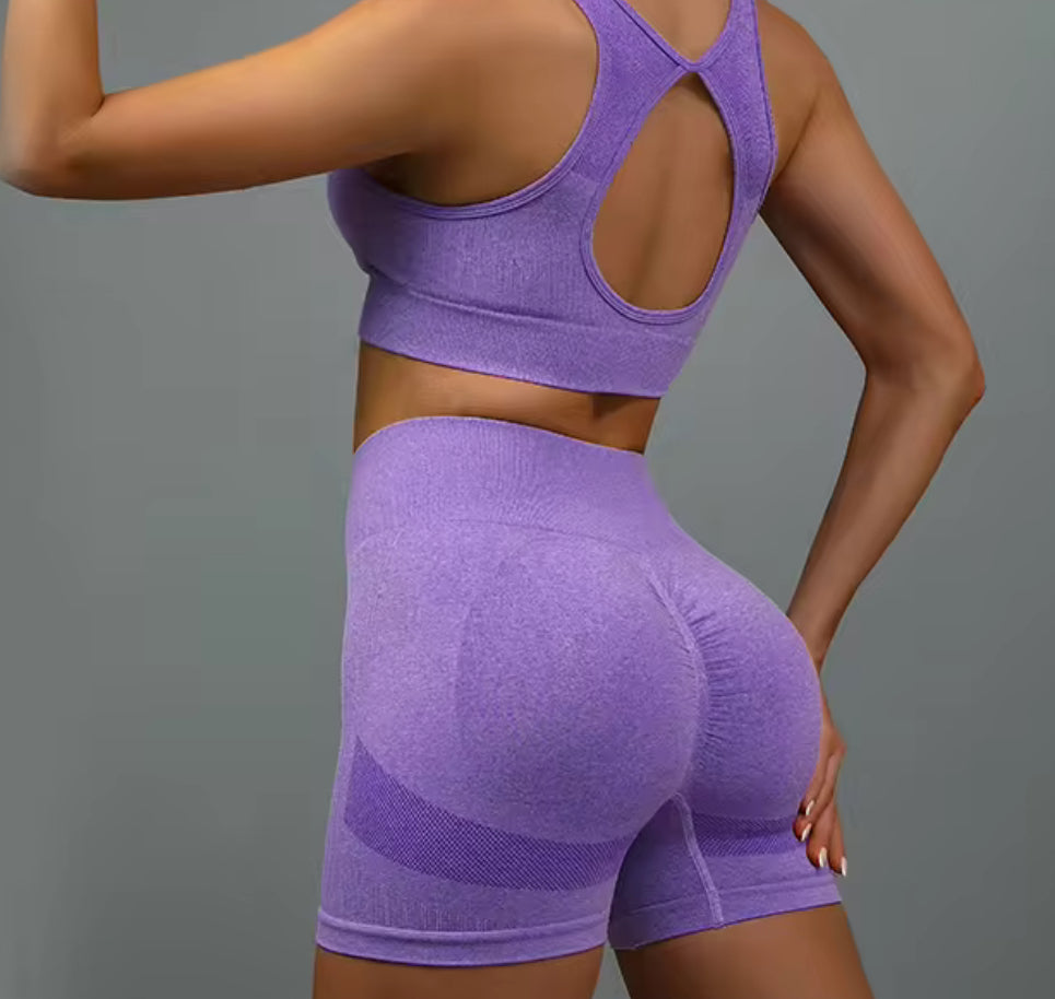 Purple Gym Shorts for Women with Tummy Control